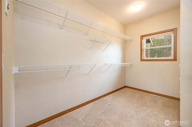 walk in closet featuring carpet flooring and visible vents