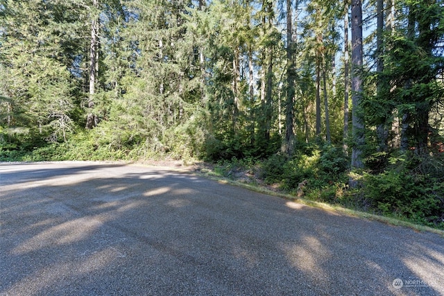 11307 113th Street Ct, Anderson Island WA, 98303 land for sale