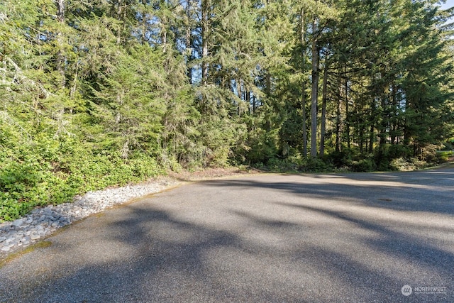 Listing photo 2 for 11307 113th Street Ct, Anderson Island WA 98303