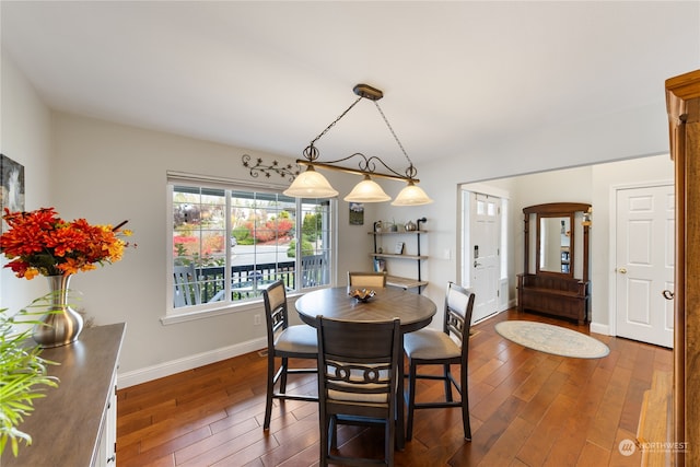 dining space with dark hardwood / wood-style floors