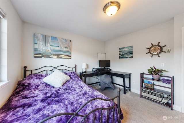 bedroom featuring carpet flooring