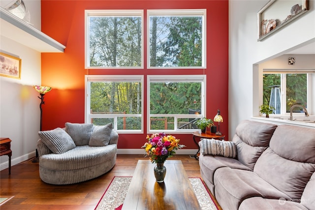 living room with hardwood / wood-style floors, a wealth of natural light, and a high ceiling