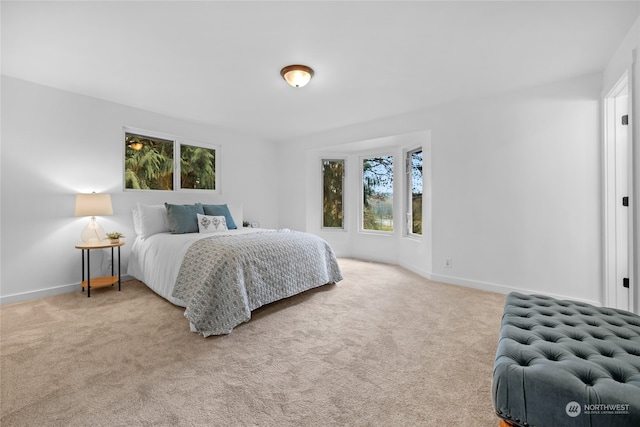 carpeted bedroom with multiple windows