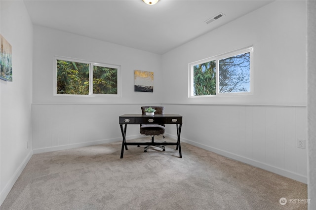 carpeted home office featuring plenty of natural light