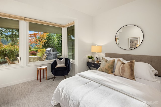 bedroom featuring multiple windows