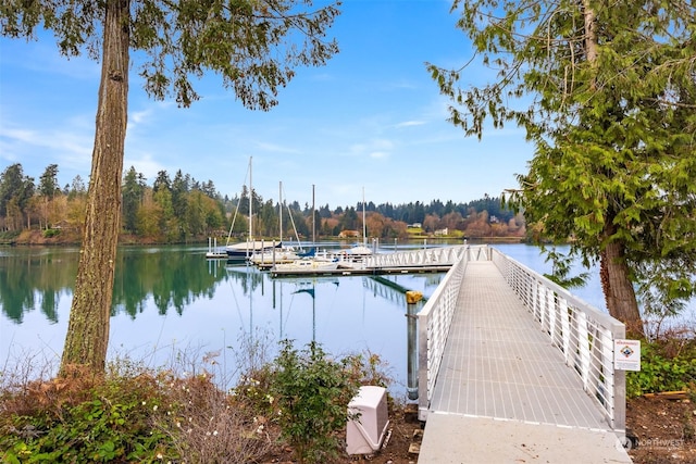 view of dock with a water view