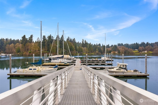 dock area with a water view