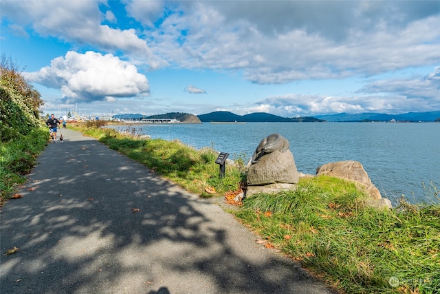 207 Mansfield Ct, Anacortes, WA 98221