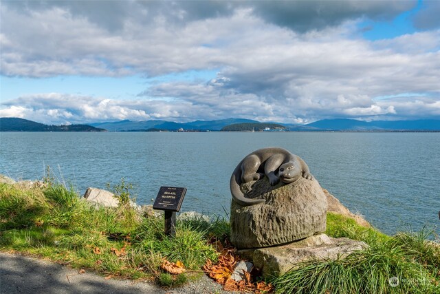 207 Mansfield Ct, Anacortes, WA 98221