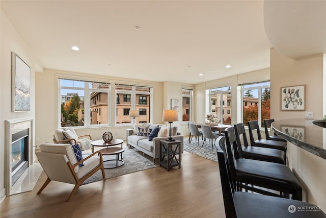 living room with a premium fireplace, hardwood / wood-style flooring, and plenty of natural light