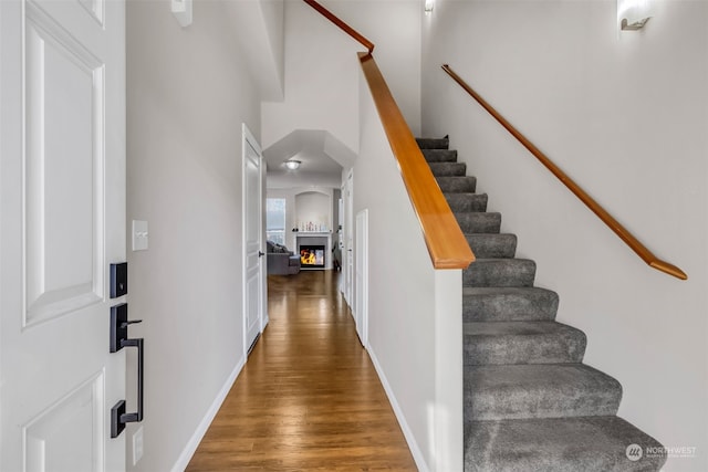 staircase with hardwood / wood-style floors