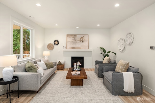 living room featuring light wood-type flooring