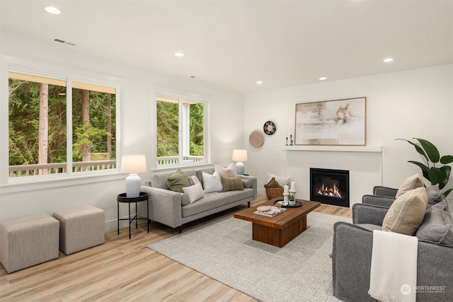 living room featuring light wood-type flooring