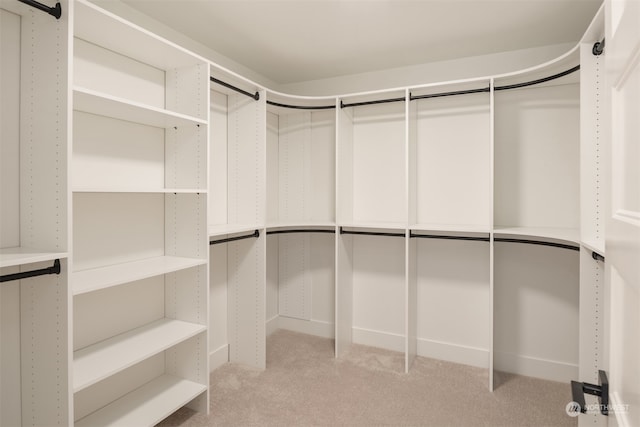 walk in closet with light carpet