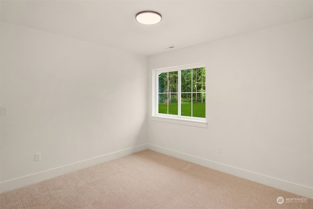 unfurnished room featuring carpet