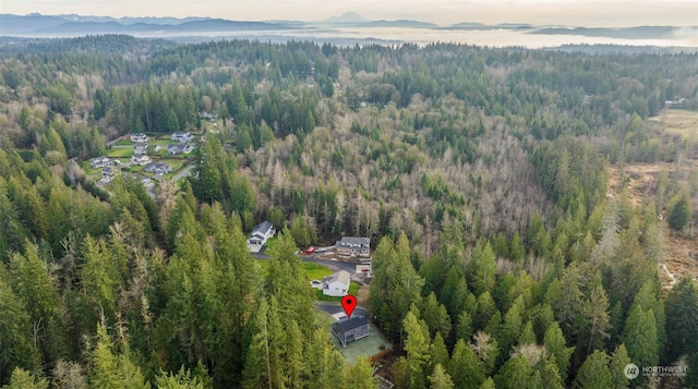 birds eye view of property with a mountain view