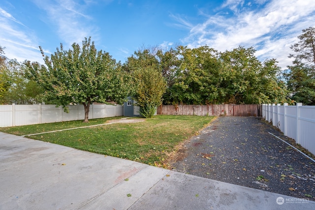 view of yard featuring a patio