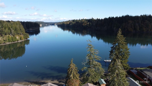 1200 E Libby Rd, Shelton, WA 98584 - photo 6
