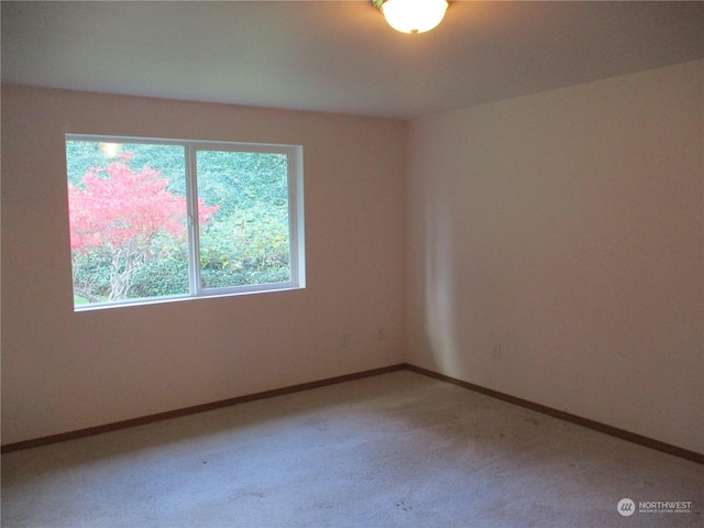 1200 E Libby Rd, Shelton, WA 98584 - photo 16
