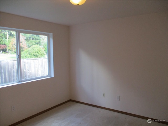 1200 E Libby Rd, Shelton, WA 98584 - photo 21