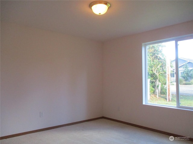 1200 E Libby Rd, Shelton, WA 98584 - photo 25