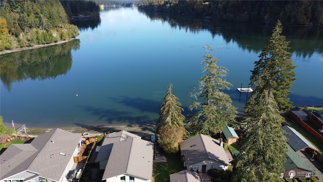 bird's eye view with a water view