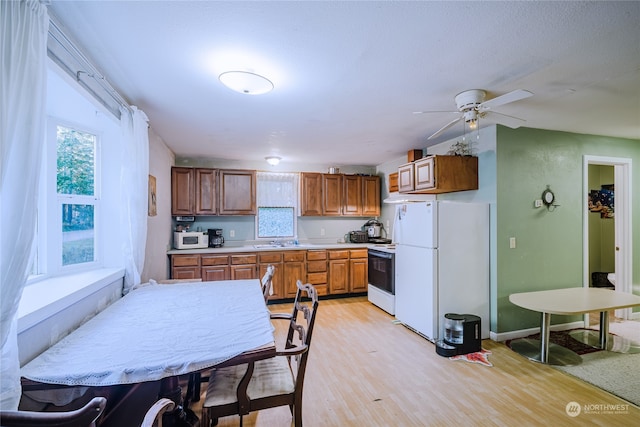 kitchen featuring ceiling fan, sink, light hardwood / wood-style floors, and white appliances