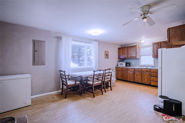 kitchen with light wood-type flooring, white fridge, fridge, and ceiling fan