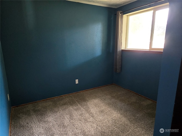 empty room with carpet