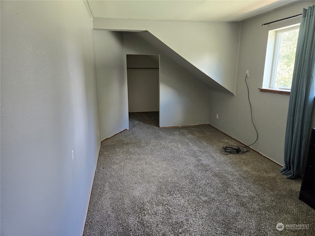 interior space featuring carpet flooring