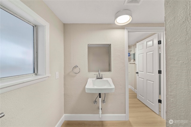 bathroom featuring wood-type flooring and sink