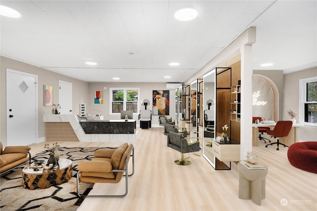 living room with light hardwood / wood-style flooring