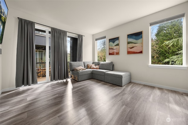 interior space with a wealth of natural light and hardwood / wood-style floors