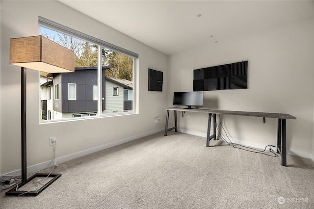 unfurnished office featuring carpet floors