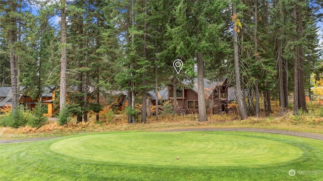 1251 Pinegrass Loop, Cle Elum, WA 98922 - surrounding community featuring a lawn