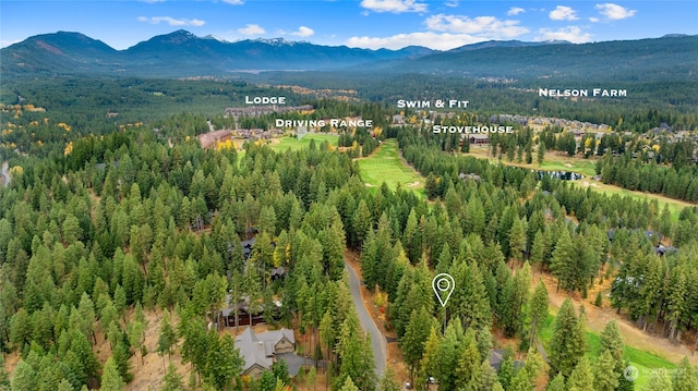 drone / aerial view featuring a mountain view