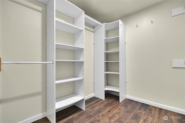 walk in closet with dark hardwood / wood-style flooring