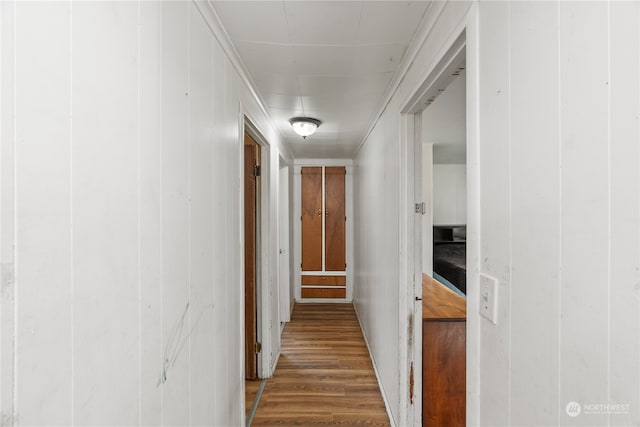 corridor with wooden walls and wood-type flooring