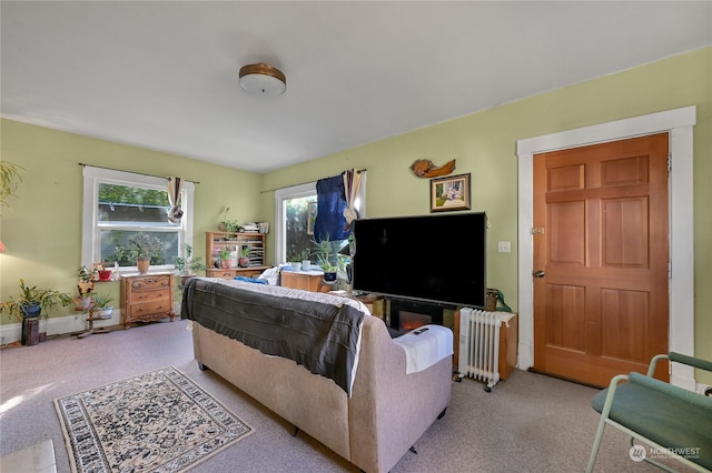 living room featuring light colored carpet