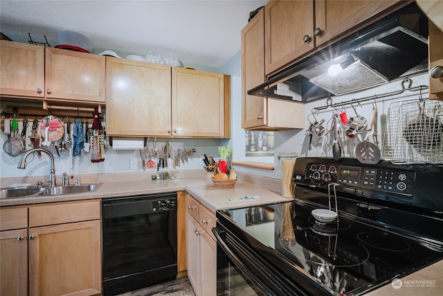 kitchen with black appliances, light brown cabinets, and sink