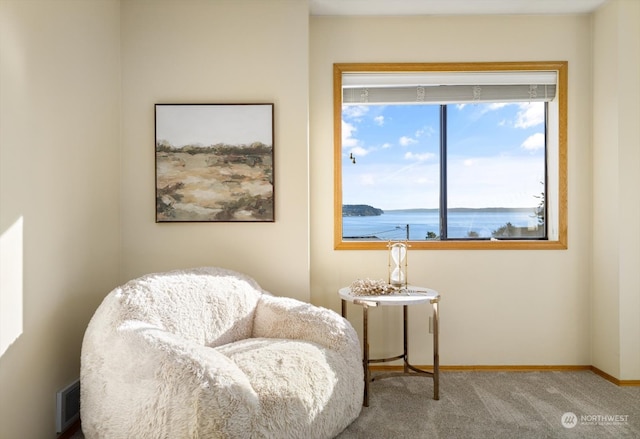 sitting room with carpet and a water view