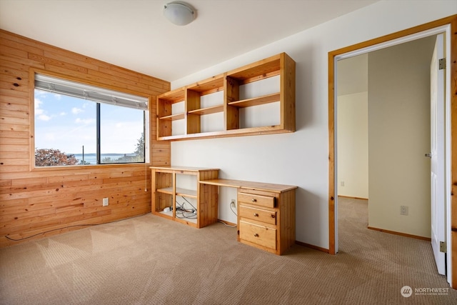 unfurnished office with wood walls and light colored carpet