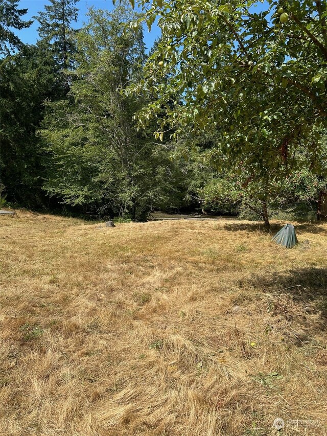 9009 Miller Rd NE, Bainbridge Island, WA 98110 - photo 3