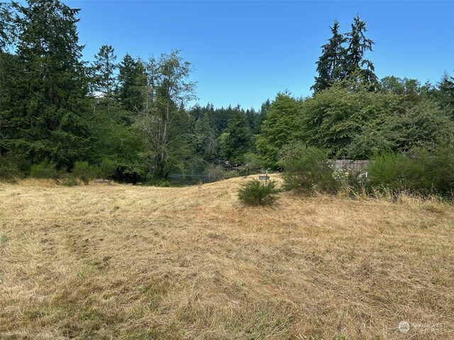 9009 Miller Rd NE, Bainbridge Island, WA 98110 - photo 4