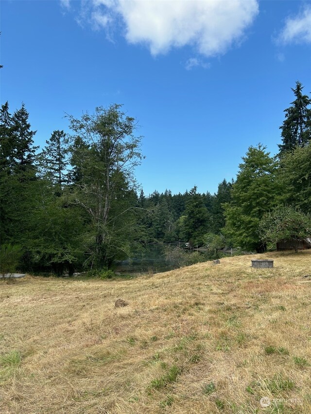 9009 Miller Rd NE, Bainbridge Island, WA 98110 - photo 5