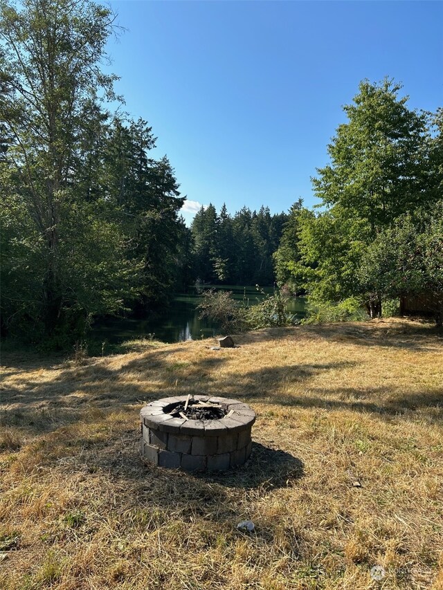 9009 Miller Rd NE, Bainbridge Island, WA 98110 - photo 6