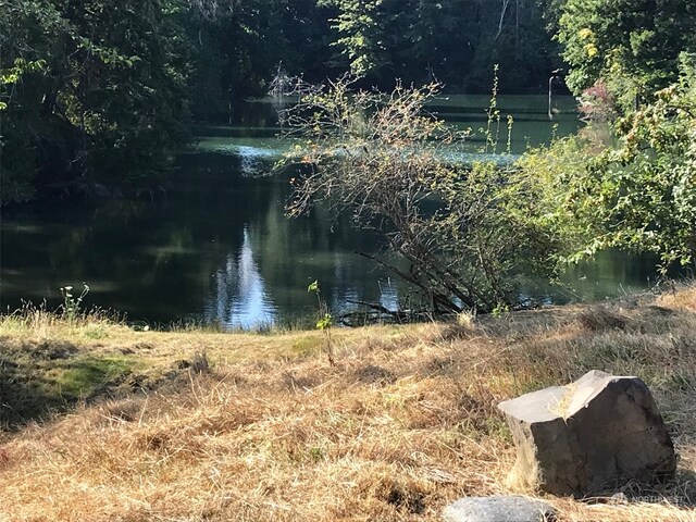 9009 Miller Rd NE, Bainbridge Island, WA 98110 - photo 9