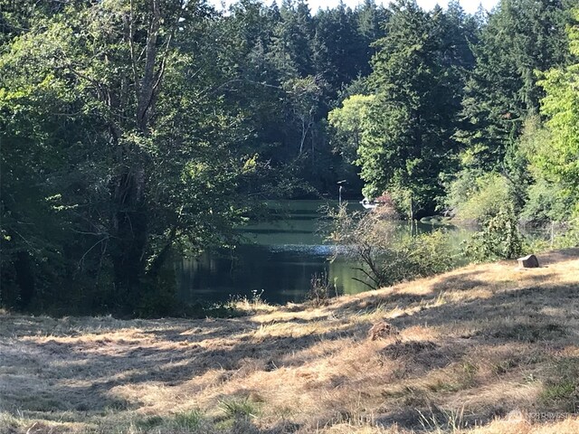 9009 Miller Rd NE, Bainbridge Island, WA 98110 - photo 10