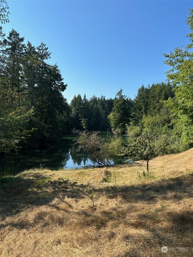 9009 Miller Rd NE, Bainbridge Island, WA 98110 - photo 11