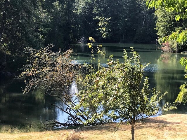 9009 Miller Rd NE, Bainbridge Island, WA 98110 - photo 12